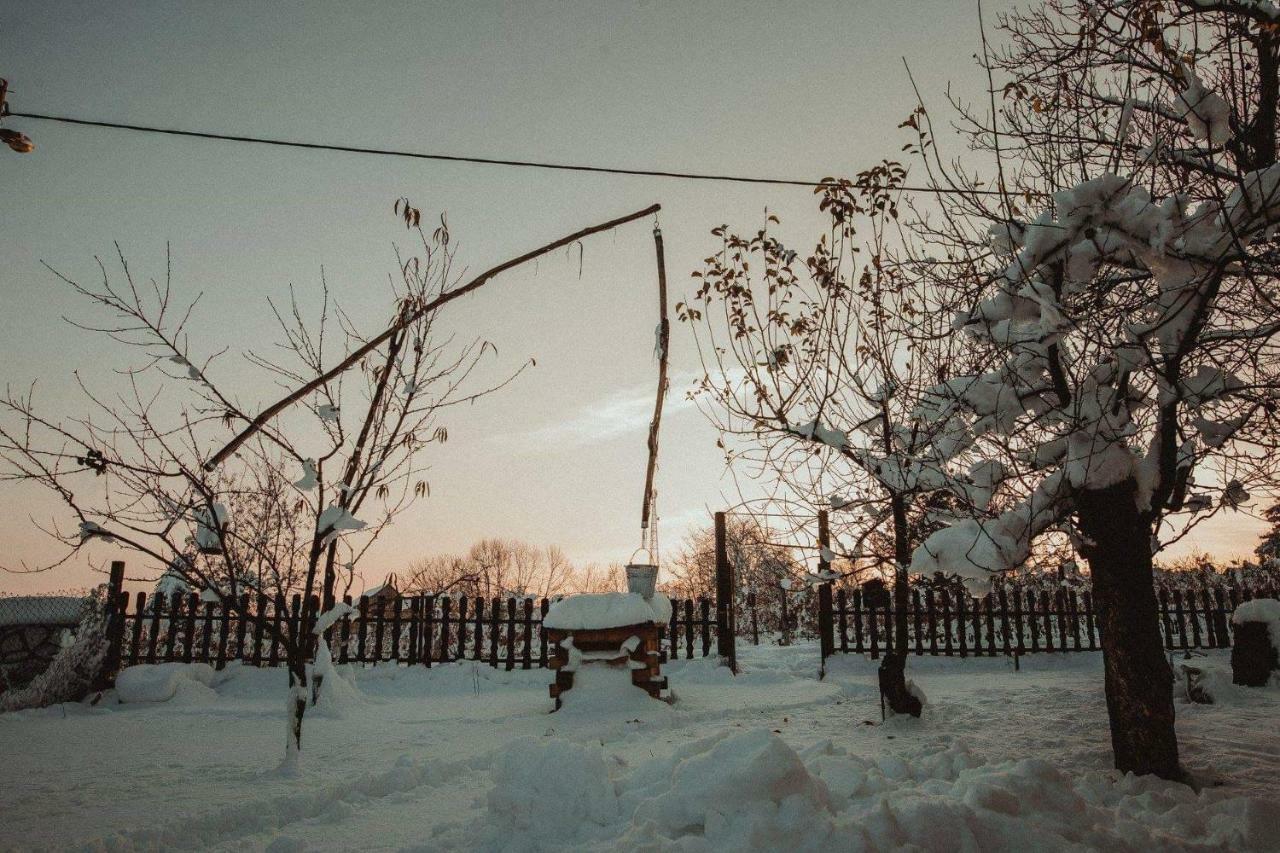 Holiday home Kuca Za Odmor Apathy